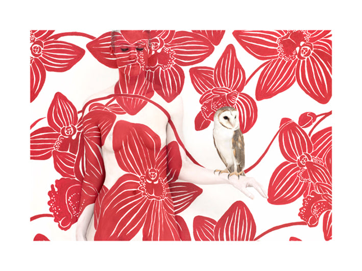 Owl on Bold Orchid 140x104cm - STOCKTAKE SALE @ 50% off - RRP $8400