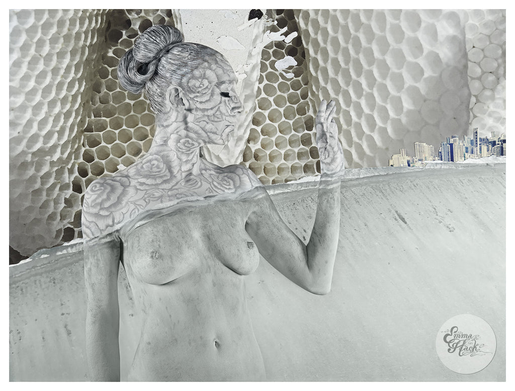 Trancendental Kingdom