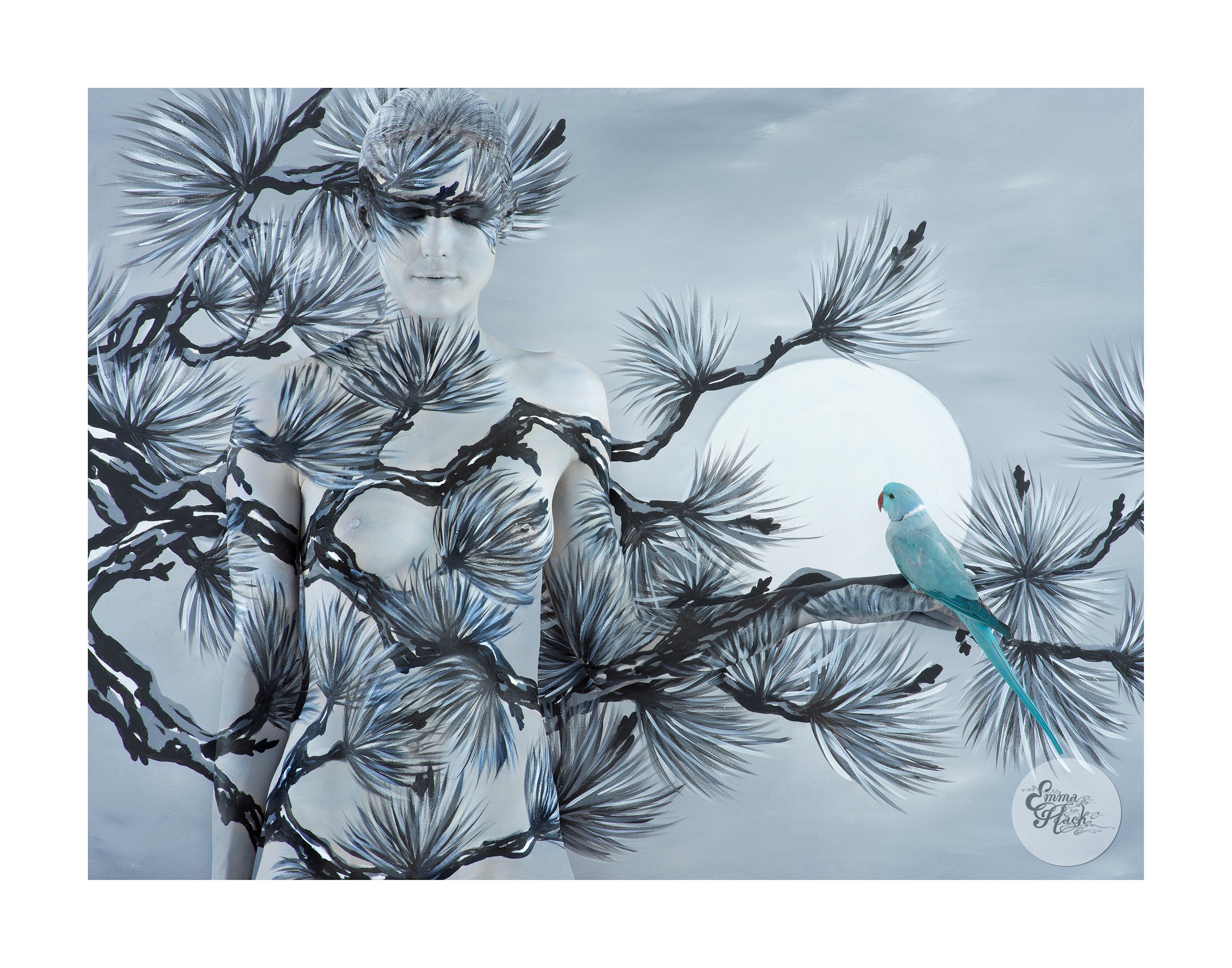 ORIENTAL FIR WITH RINGNECK