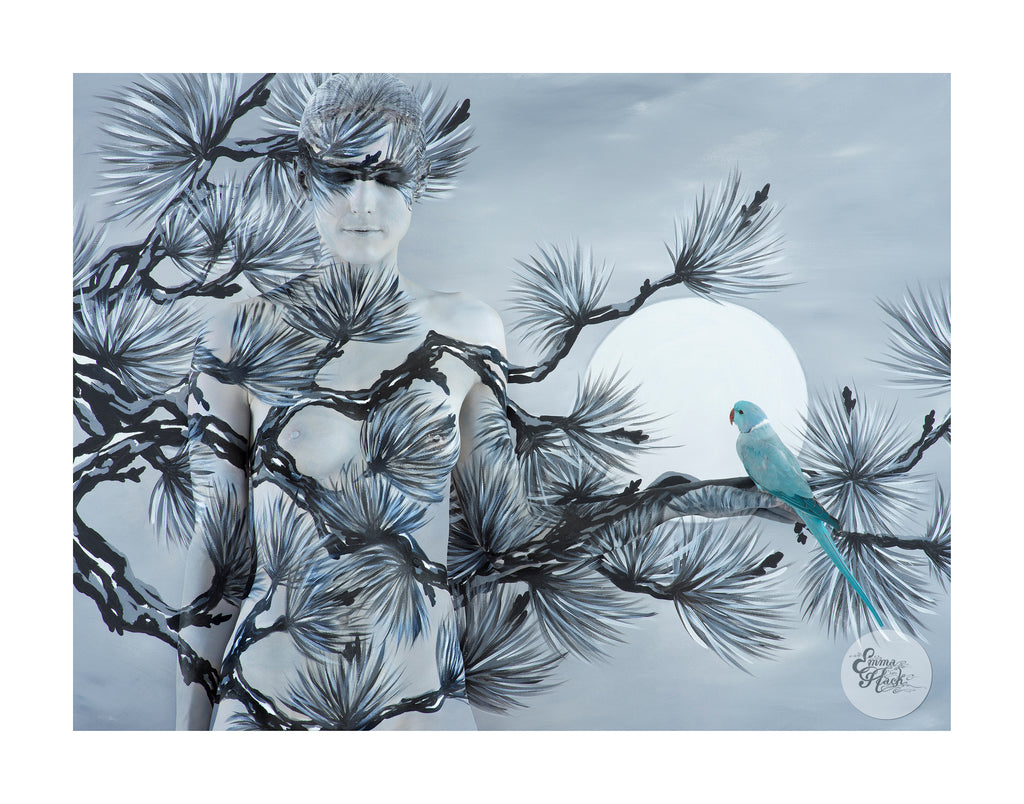 ORIENTAL FIR WITH RINGNECK