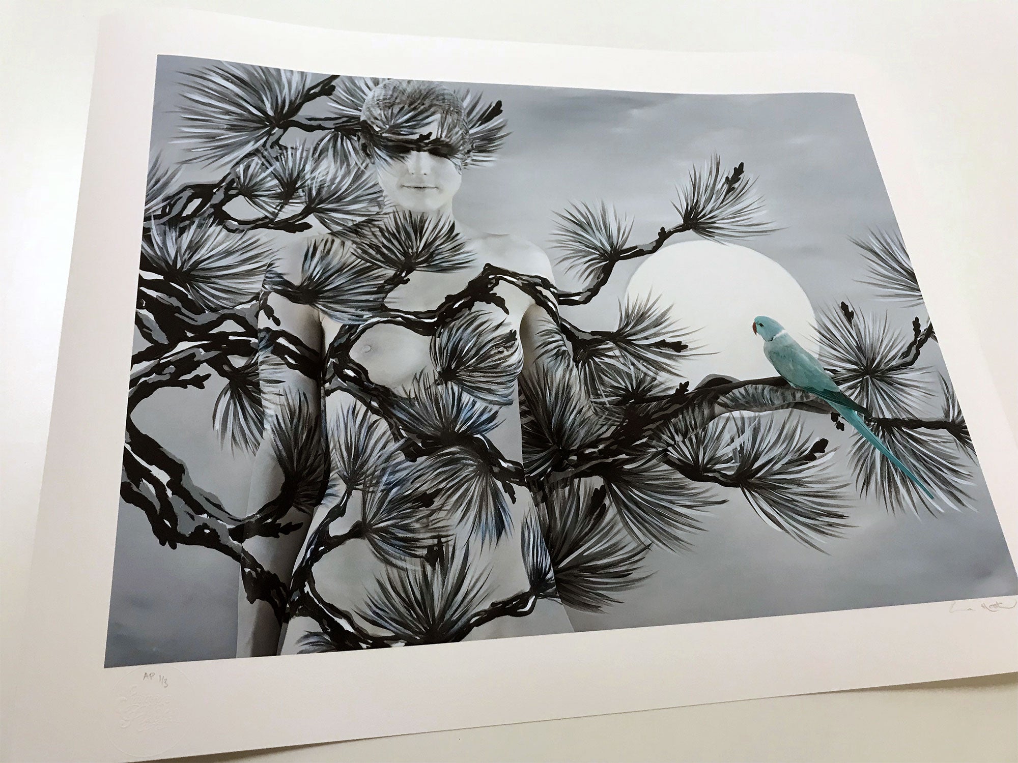 ORIENTAL FIR WITH RINGNECK