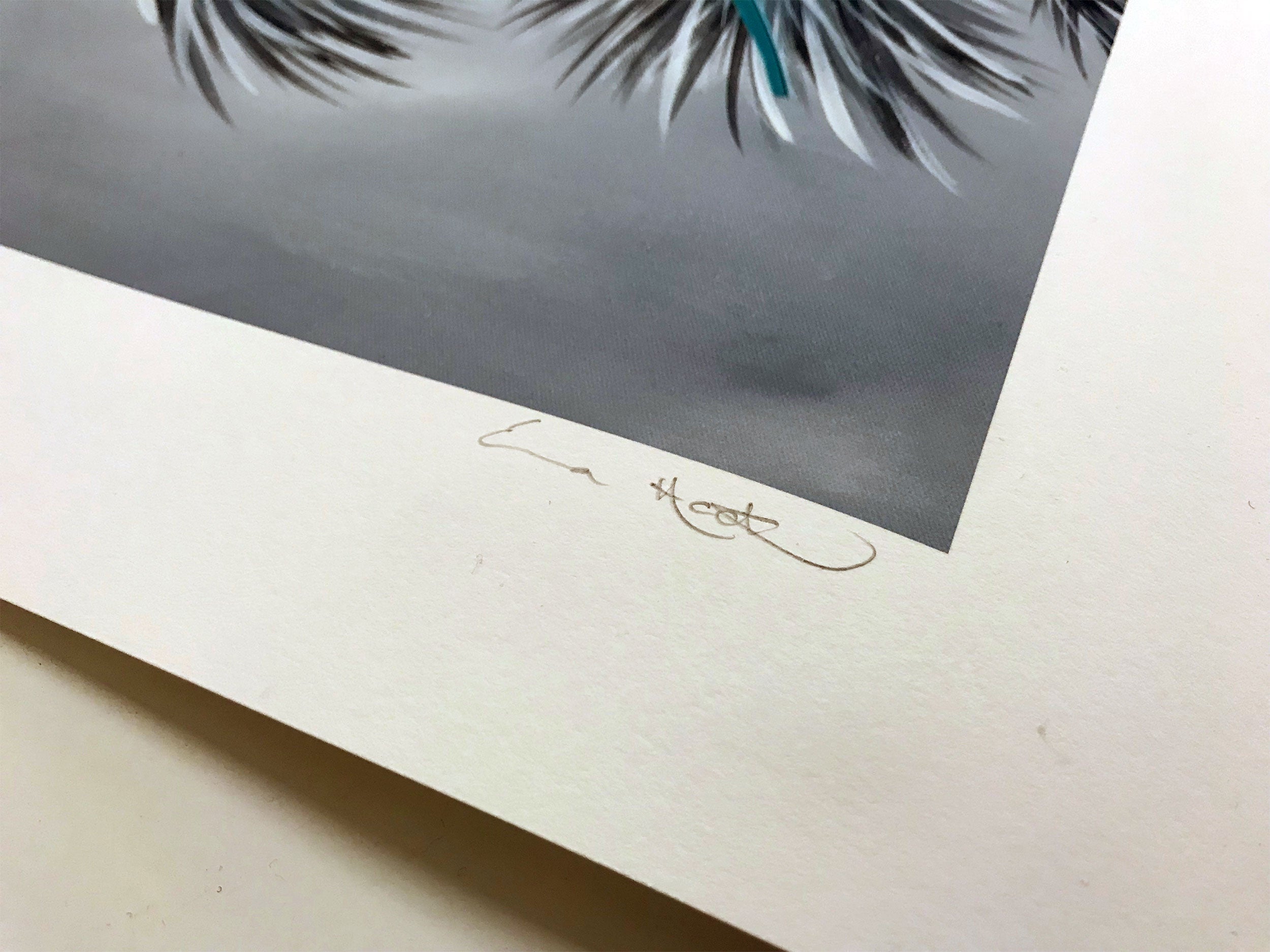 ORIENTAL FIR WITH RINGNECK