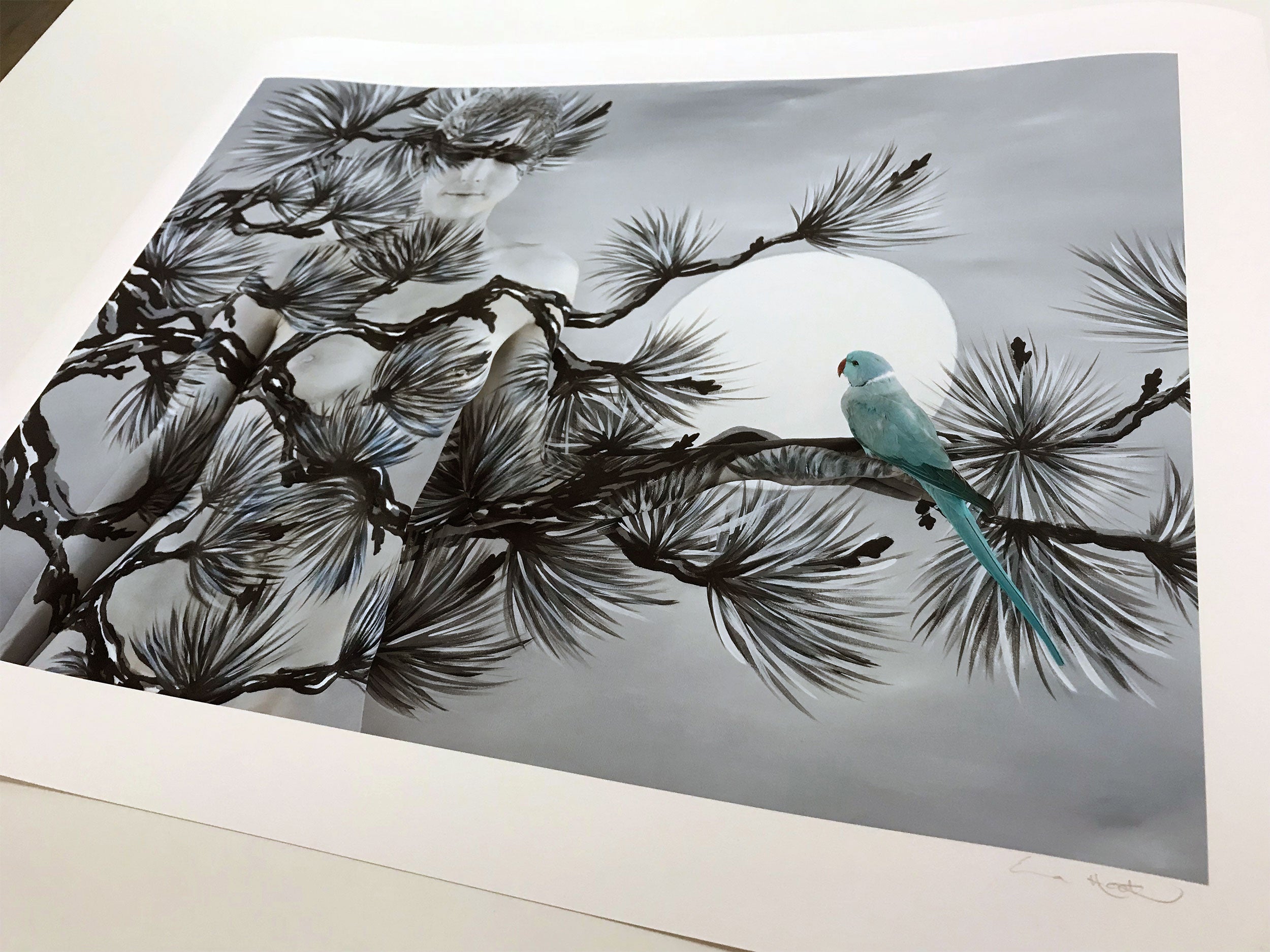 ORIENTAL FIR WITH RINGNECK