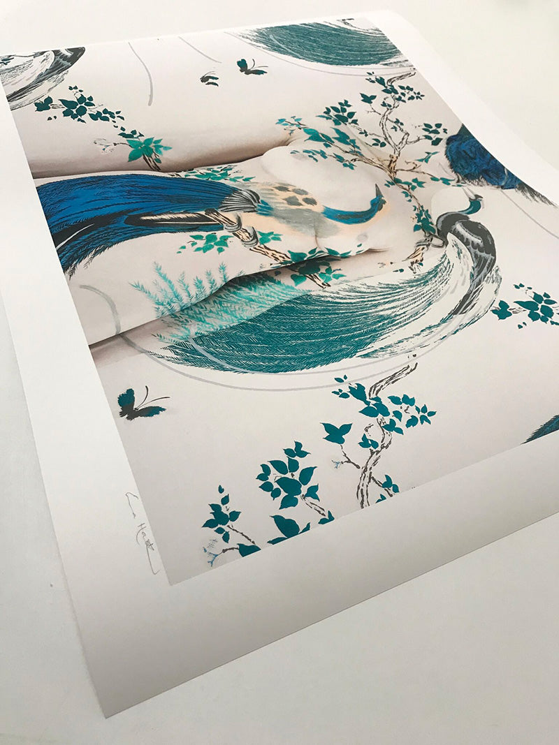 Mother Gaia - Broadhurst's Exotic Birds