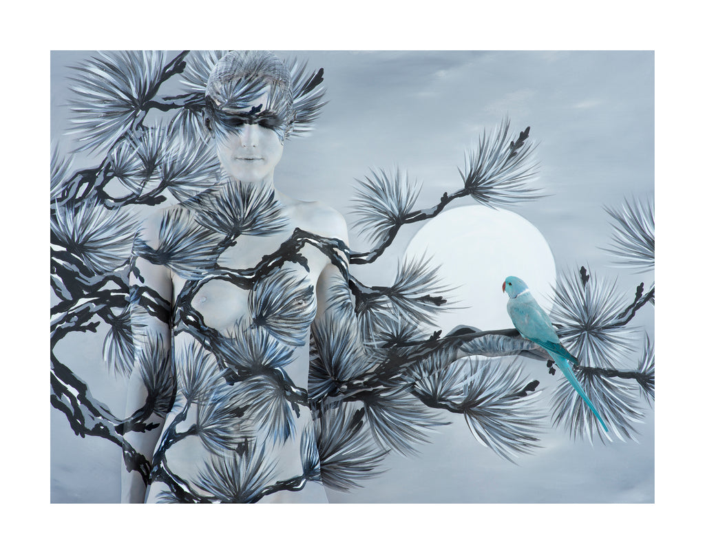 Oriental Fir With Ringneck