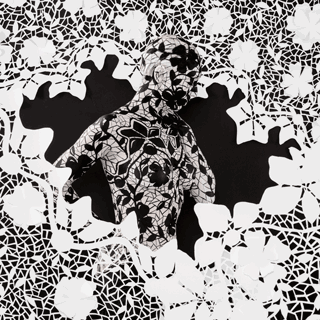 Lenticular - Protection I