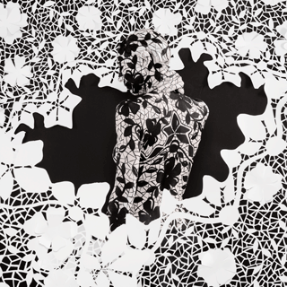 Lenticular - Protection III