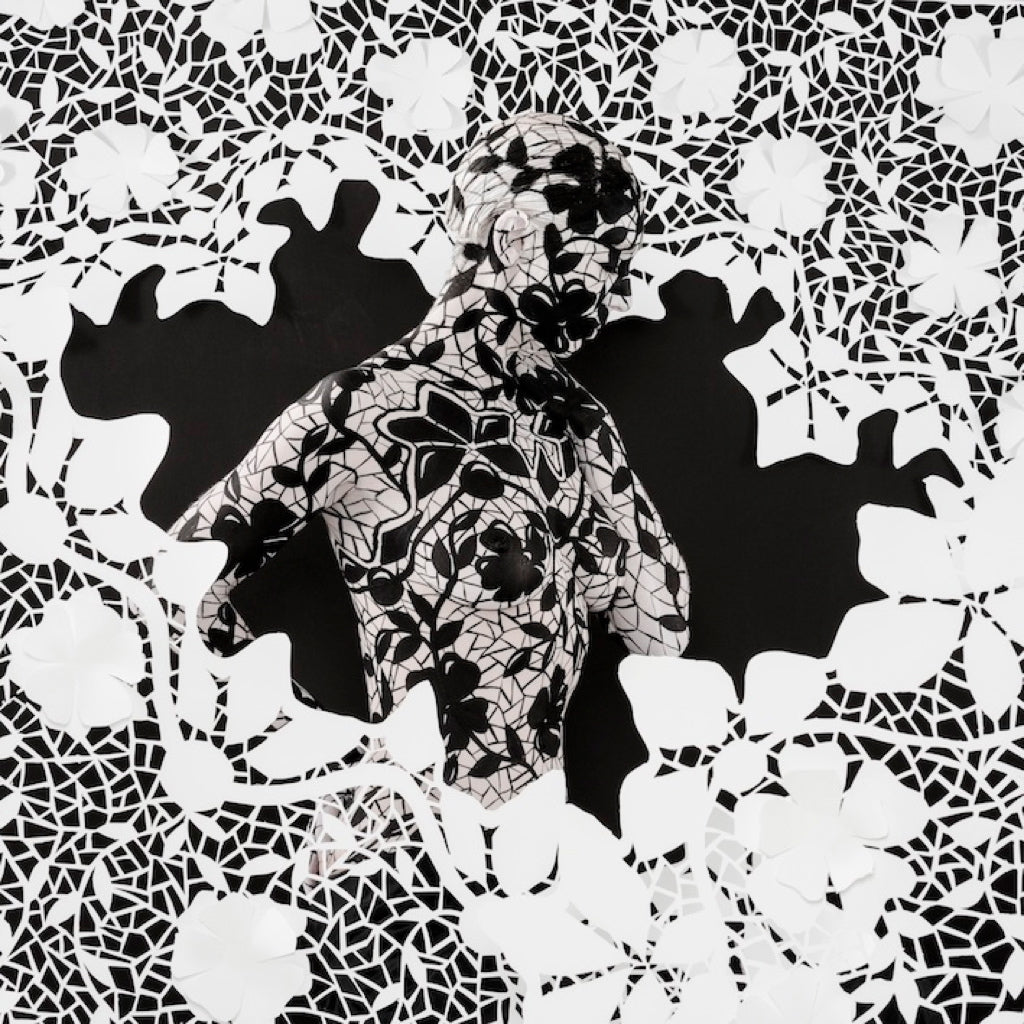 Lenticular - Protection I