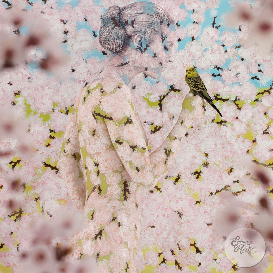 Blossom Cradled Budgie