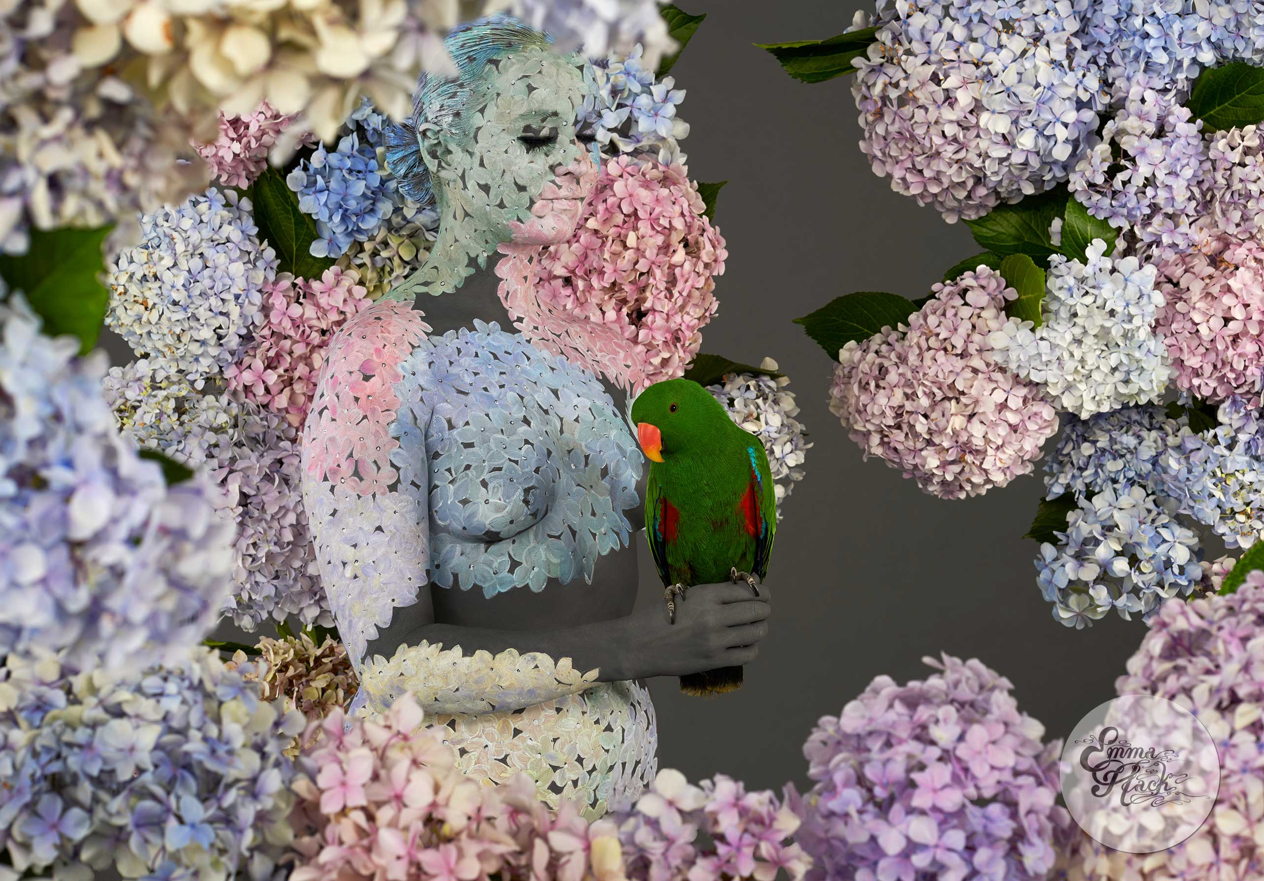 Rocky with Hydrangeas