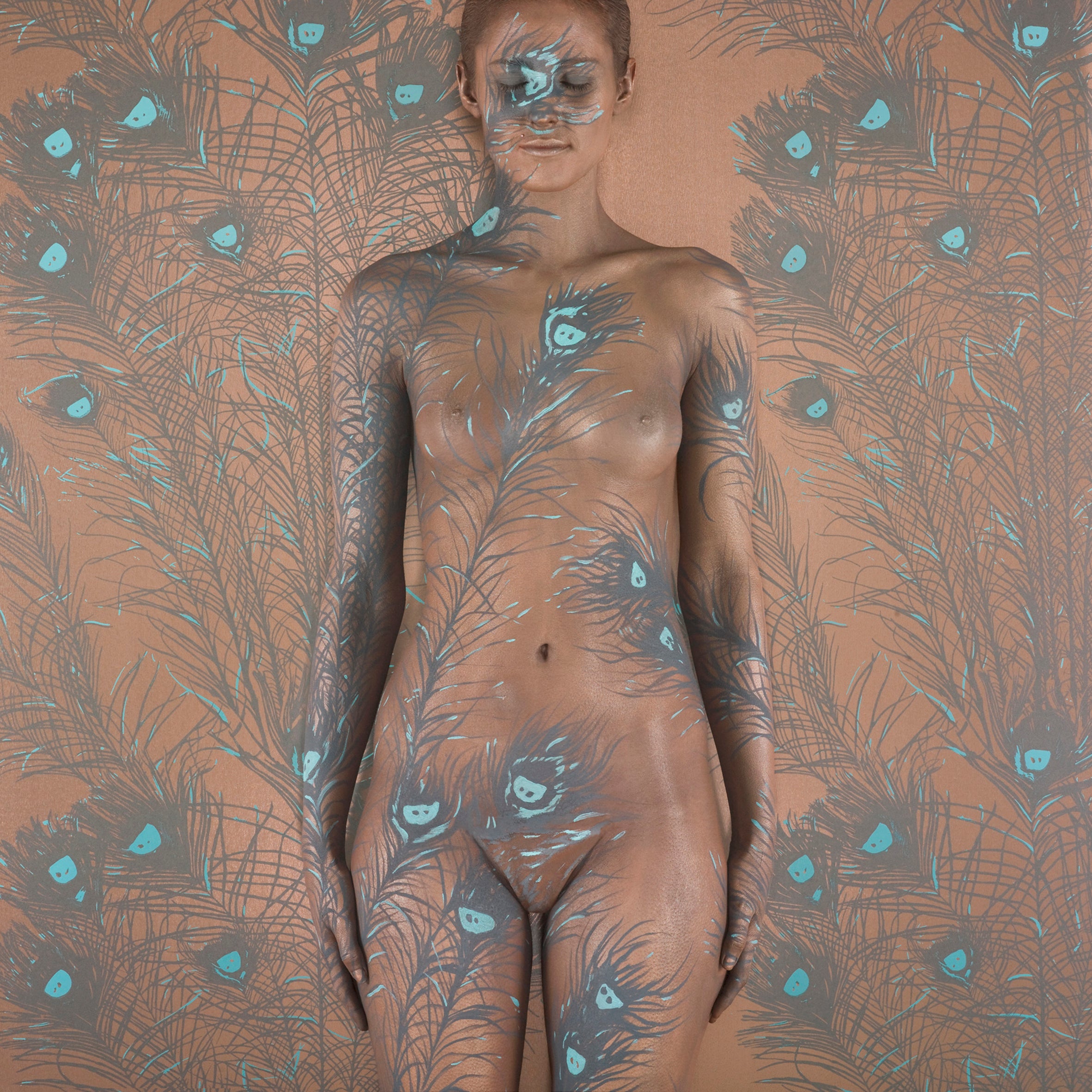 Wallpaper Peacock Feathers