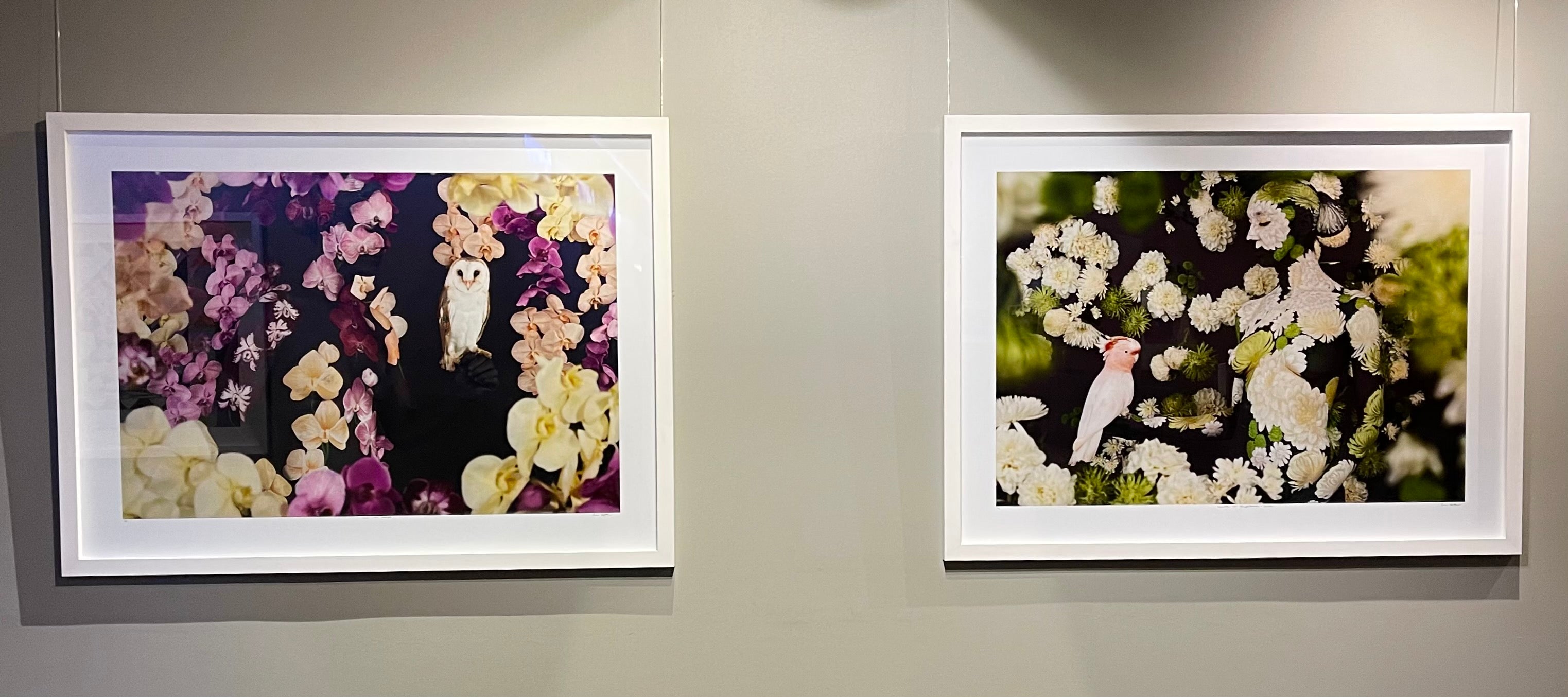 Charlotte with Chrysanthemum and Dahlia