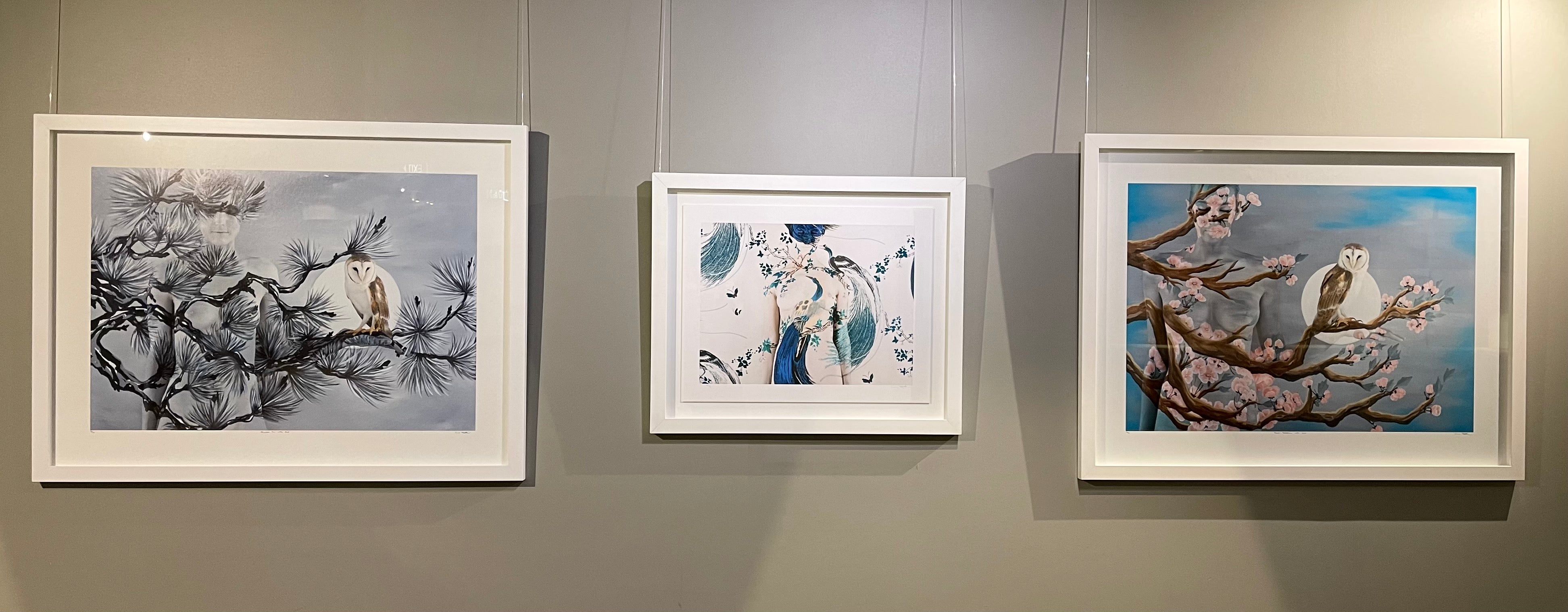 BROADHURST'S EXOTIC BIRDS