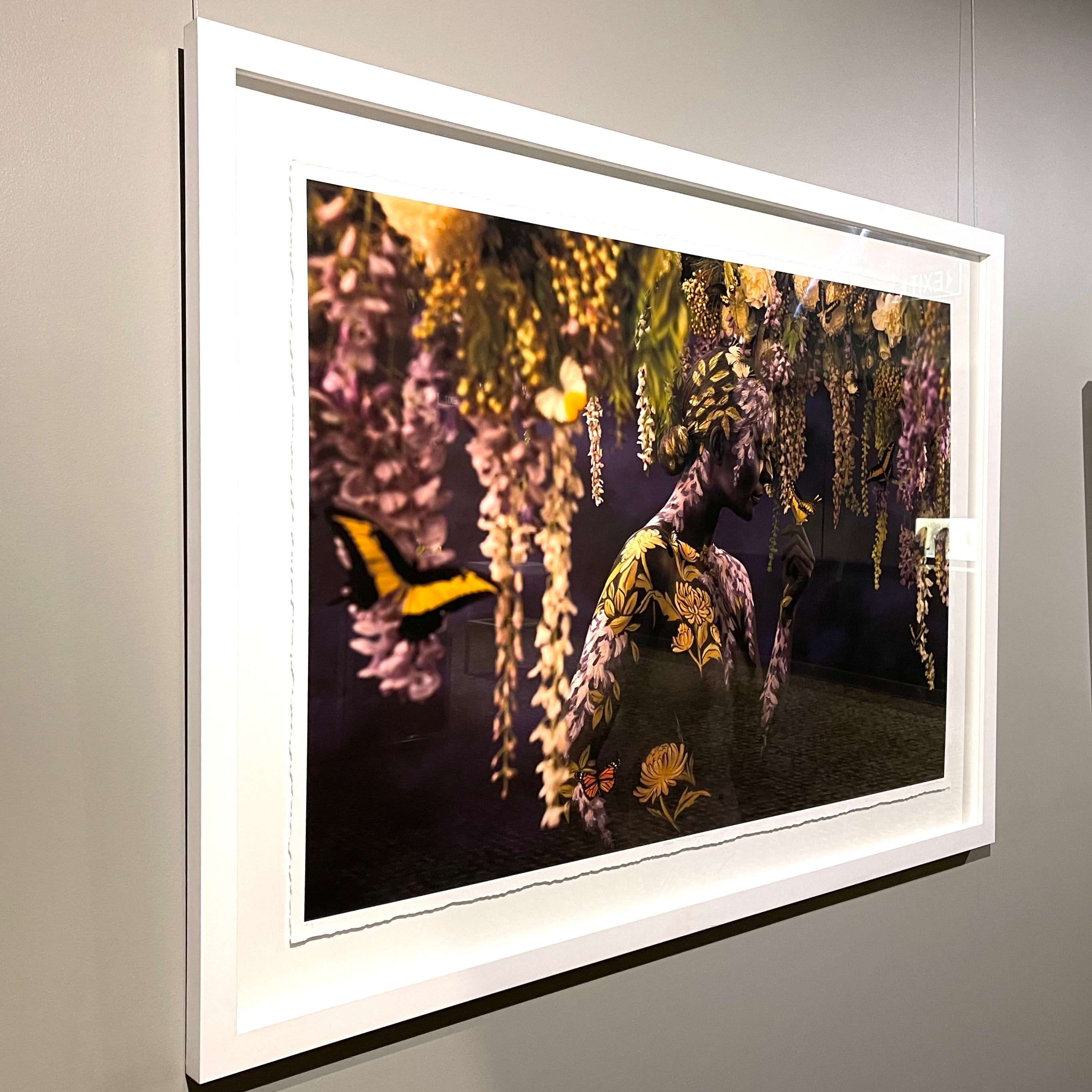 Royal Hanging Garden