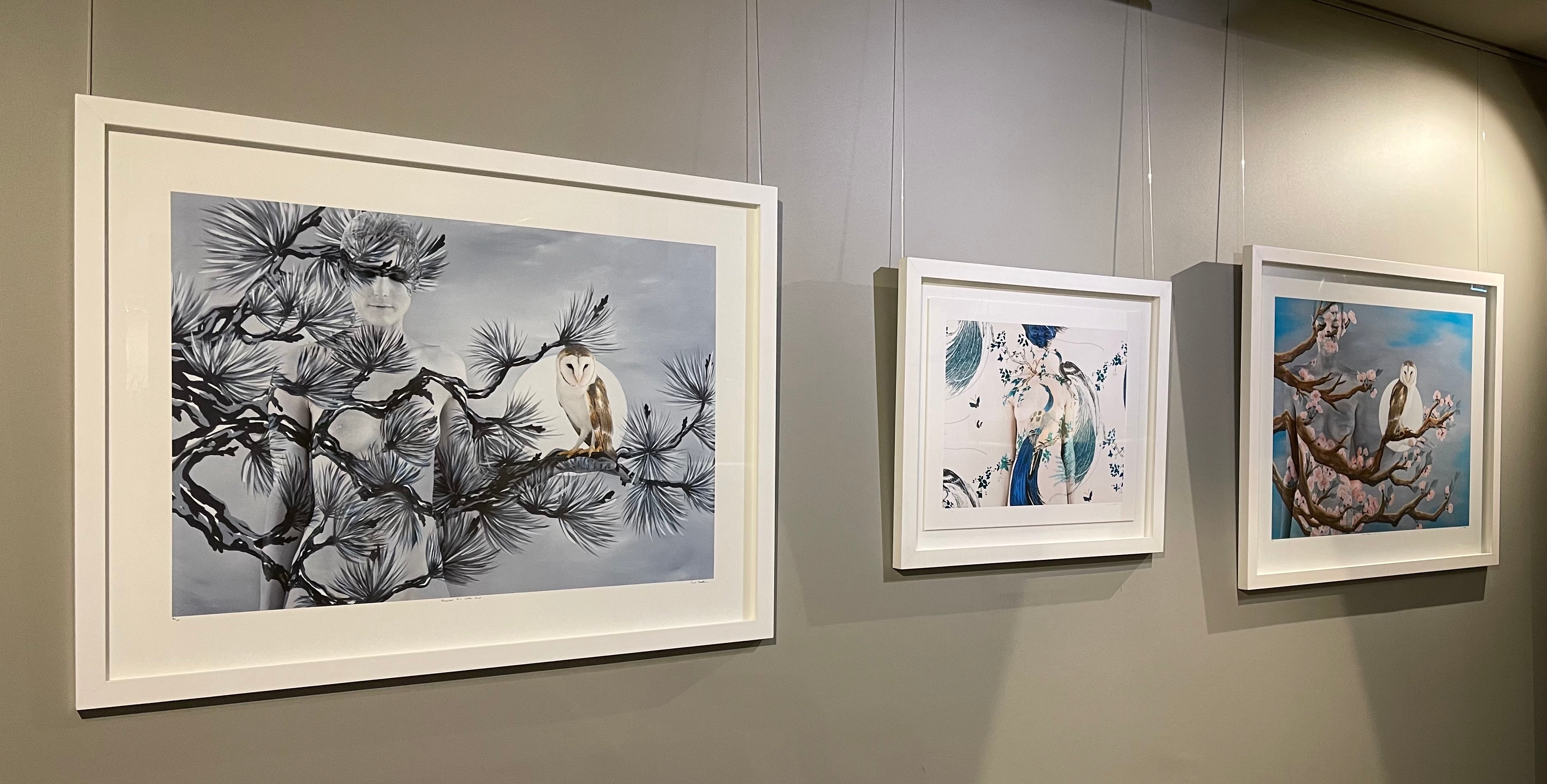 Oriental Fir With Owl 120x90cm - STOCKTAKE SALE (FINAL EDITION)- RRP $6900