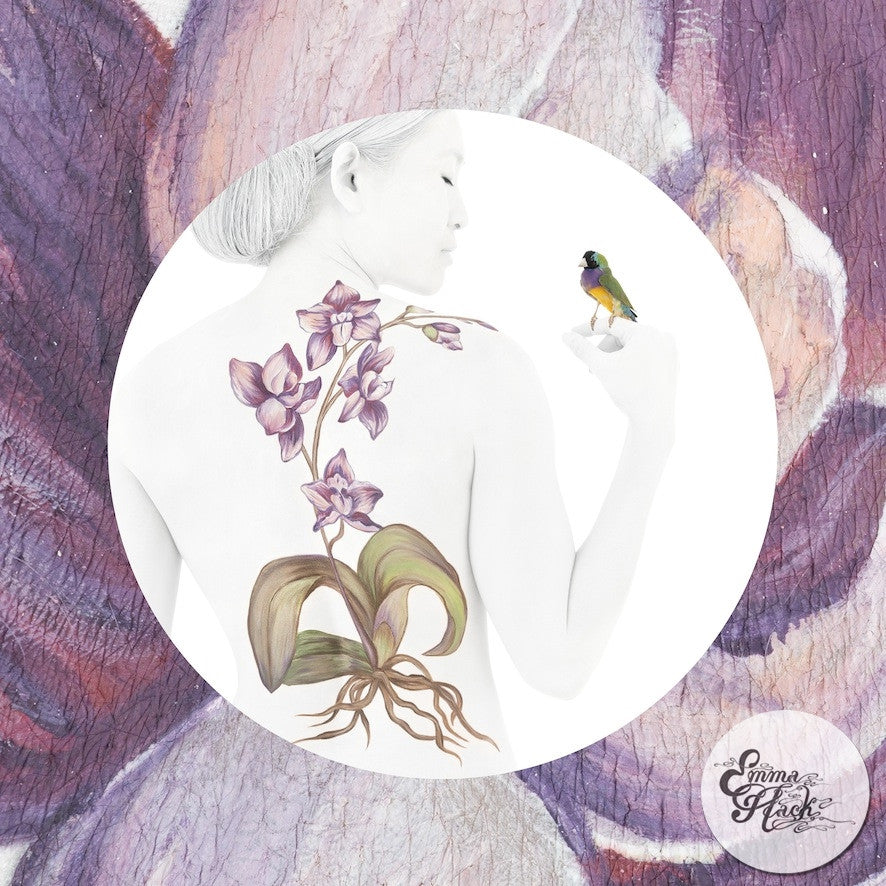 Orchid with Gouldian Finch