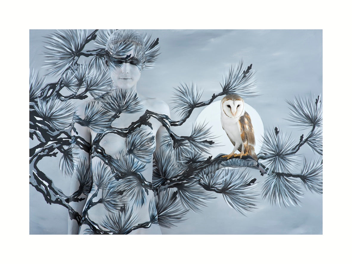Oriental Fir With Owl 120x90cm - STOCKTAKE SALE (FINAL EDITION)- RRP $6900