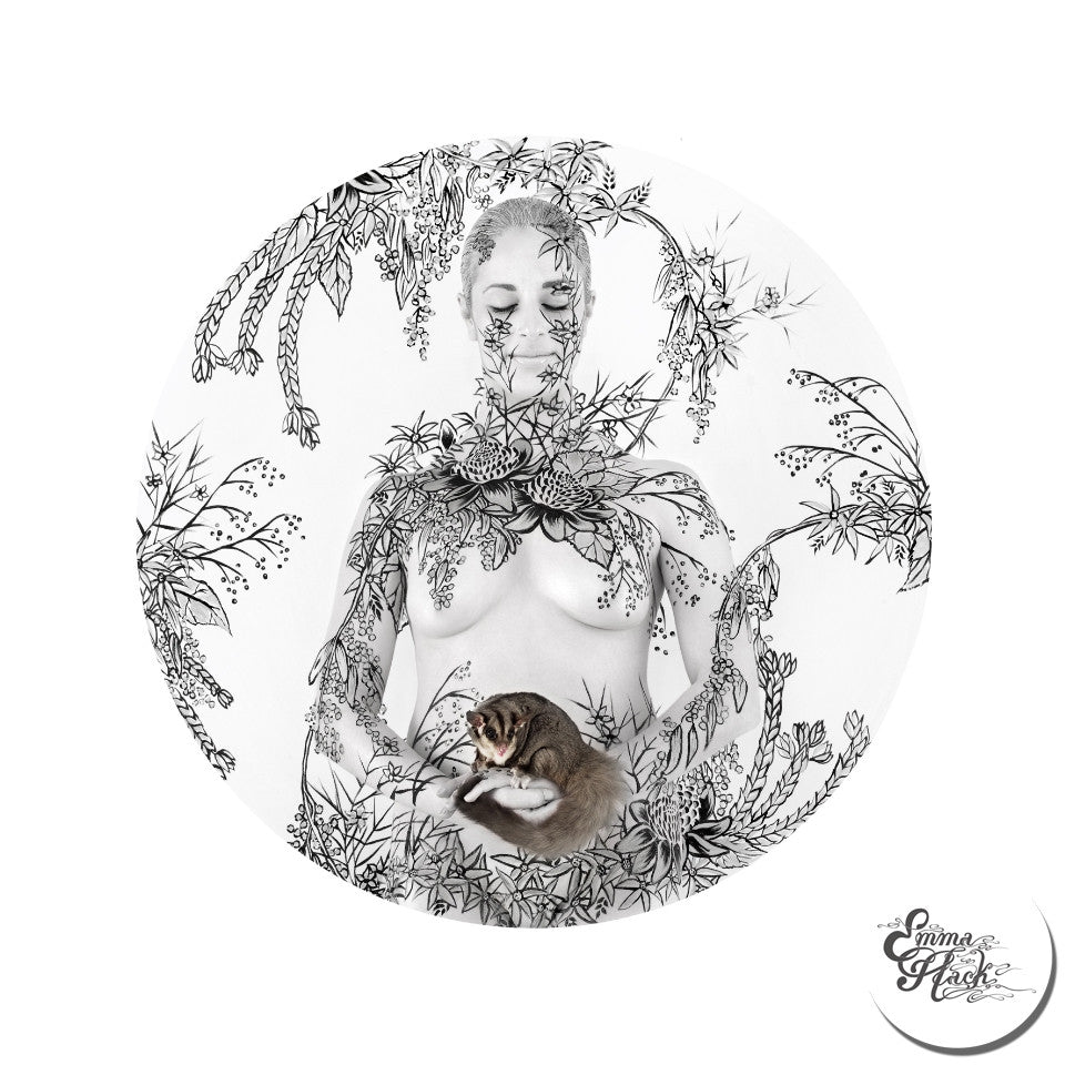 Squirrel Glider in Native Bouquet