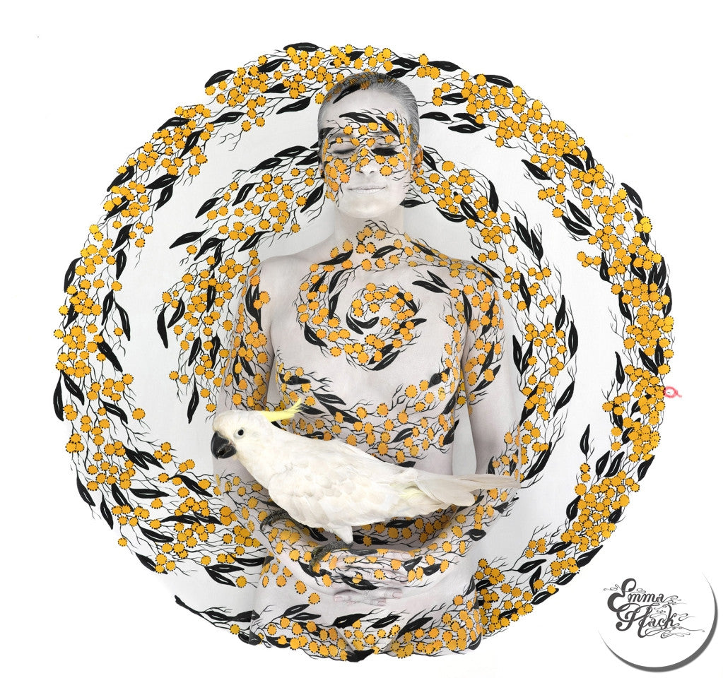 Sulfur Crested Cockatoo in Wattle Spiral